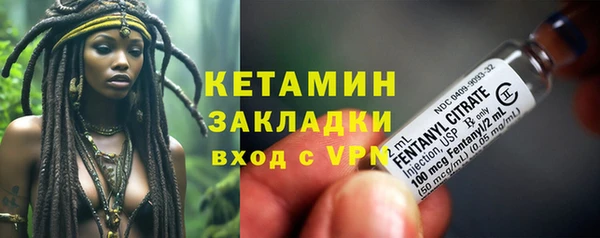 сатива Куйбышев