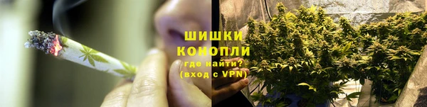 сатива Куйбышев
