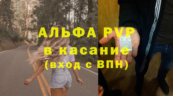 сатива Куйбышев