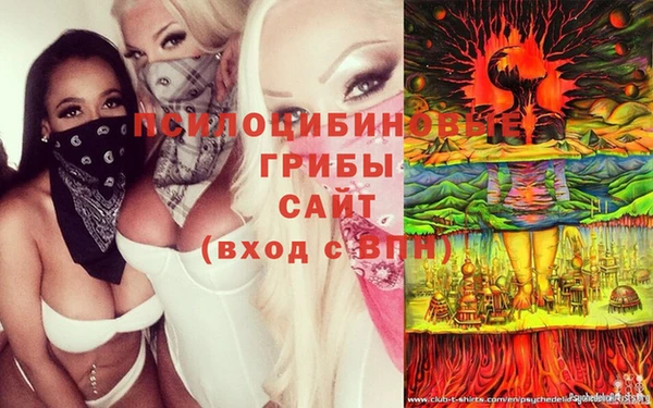 сатива Куйбышев