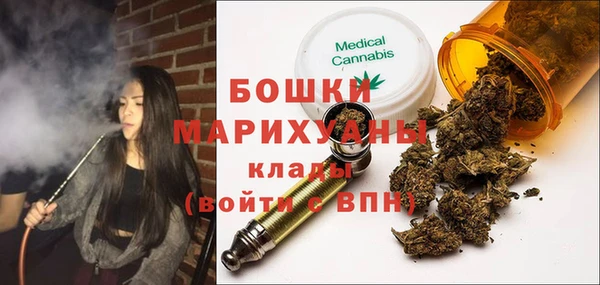 сатива Куйбышев