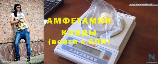 сатива Куйбышев