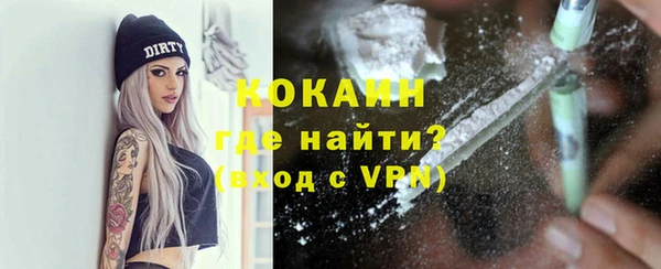 сатива Куйбышев