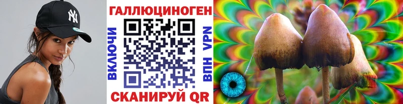 закладки  Малгобек  KRAKEN зеркало  Галлюциногенные грибы Psilocybine cubensis 